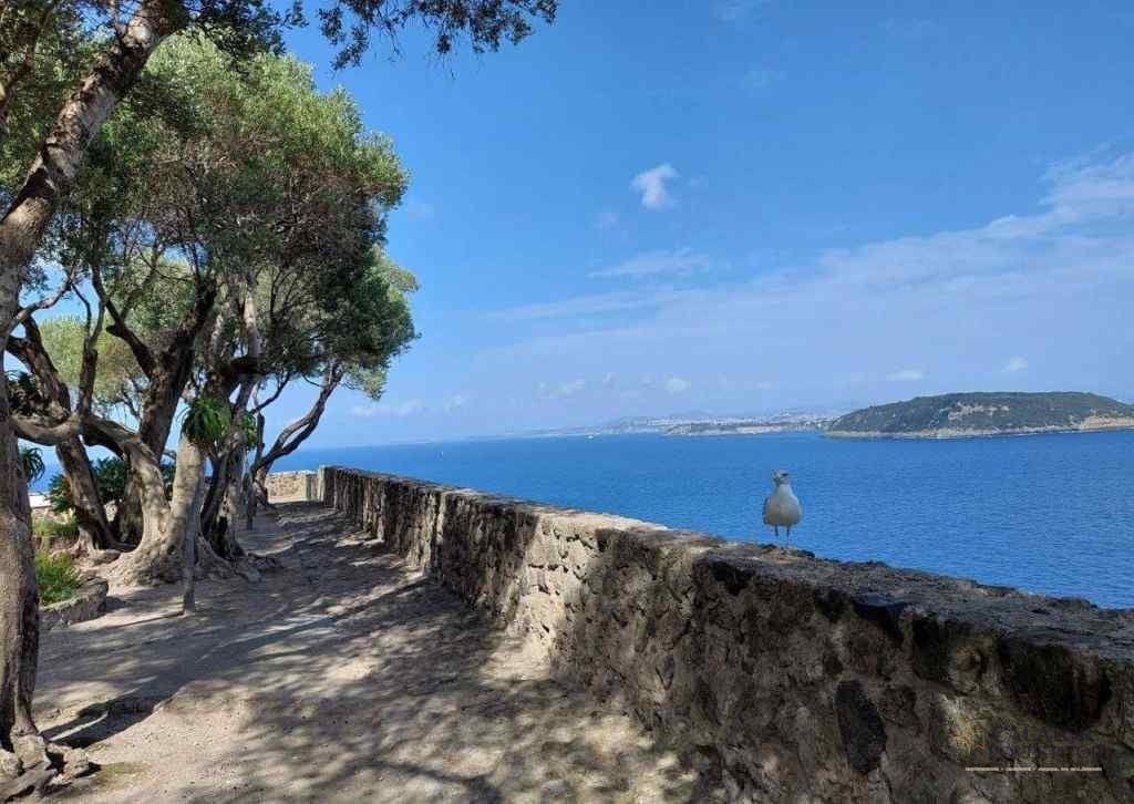 Atractii turistice Ischia, Castello Aragonese