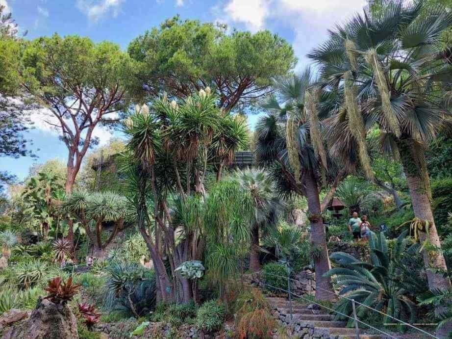 Aventura pe Insula Ischia - destinatii pe care nu trebuie sa le ratezi