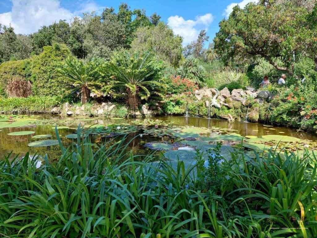 Aventura pe Insula Ischia - destinatii pe care nu trebuie sa le ratezi