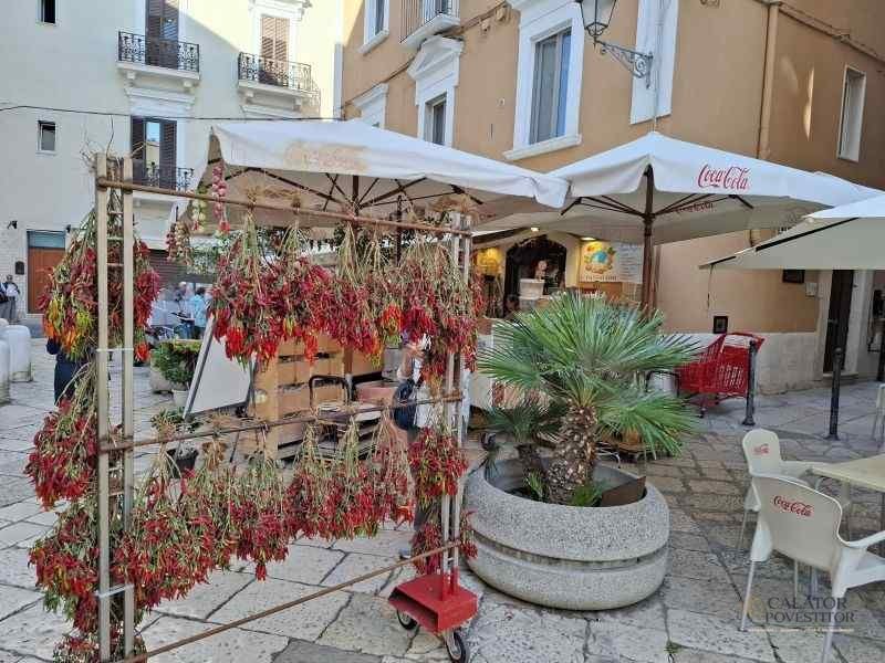 Bari, Puglia – Ghid autentic pentru o escapada de neuitat — 3
