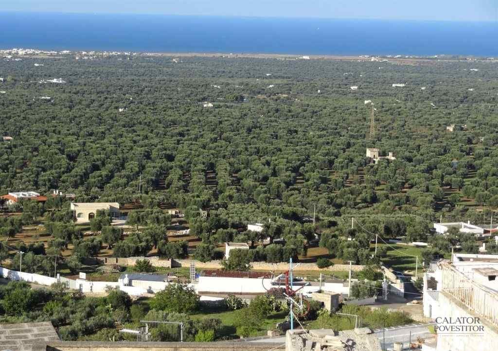 Ce să vizităm în Puglia 