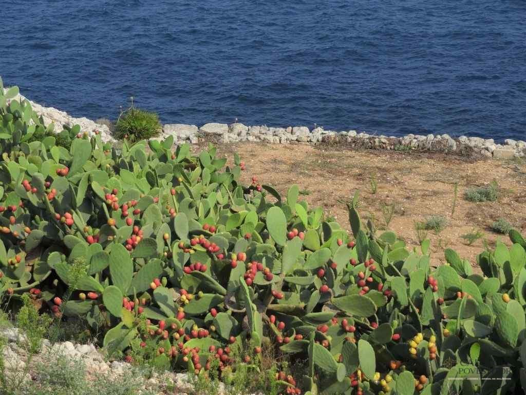Santa Maria di Leuca