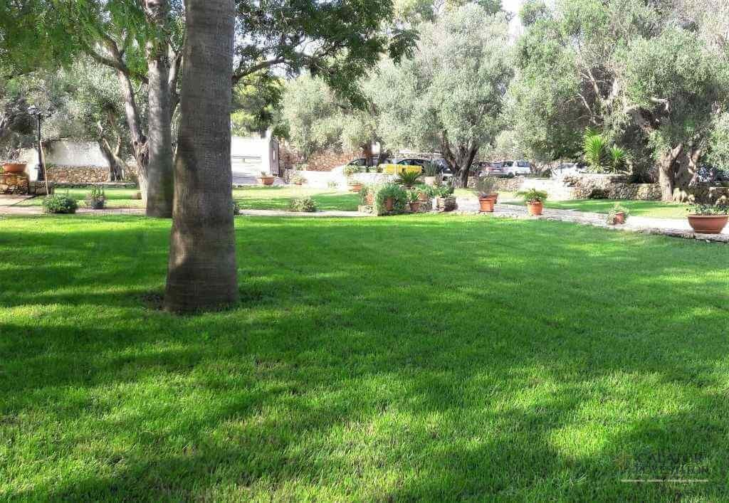 Ce să vizitezi în Puglia 