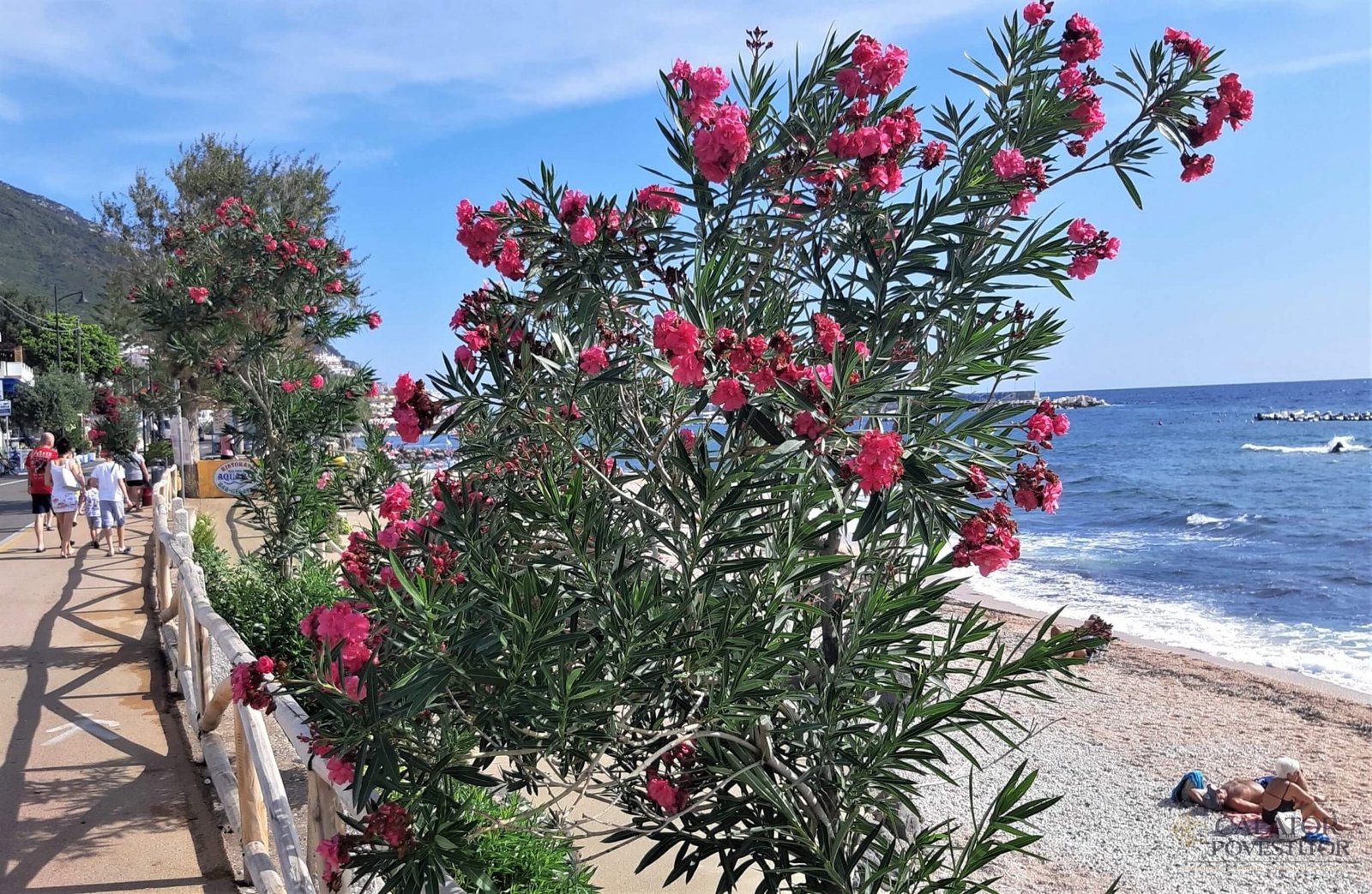 Ce sa vizitezi in Sardinia