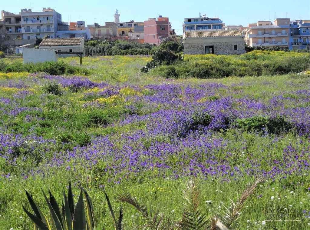 Ce sa vizitezi in Sicilia - Italia
