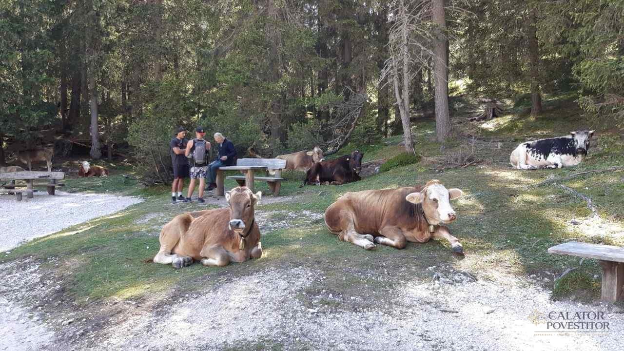 Lago di Braies