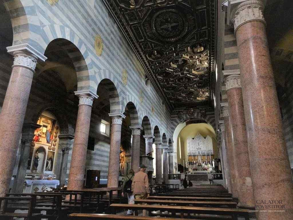 Volterra