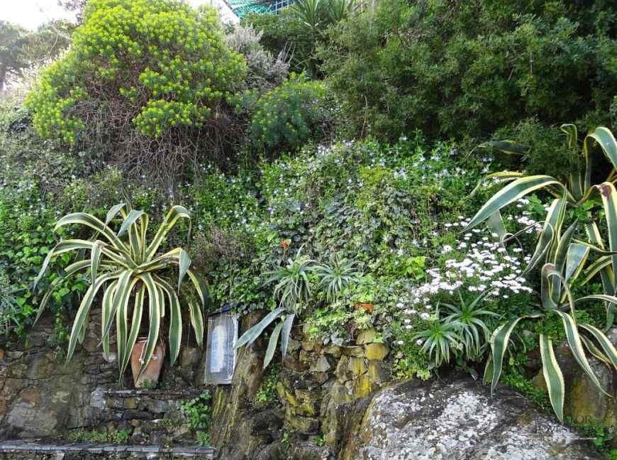 Cinque Terre – ghid turistic 2024 pentru o escapada de neuitat in Italia
