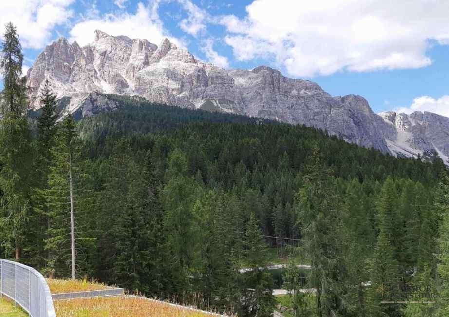 Cortina d