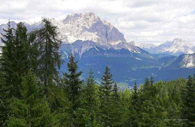 Cortina d