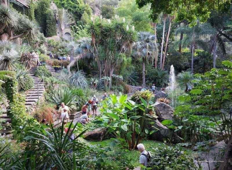Ghid complet insula Ischia - Italia