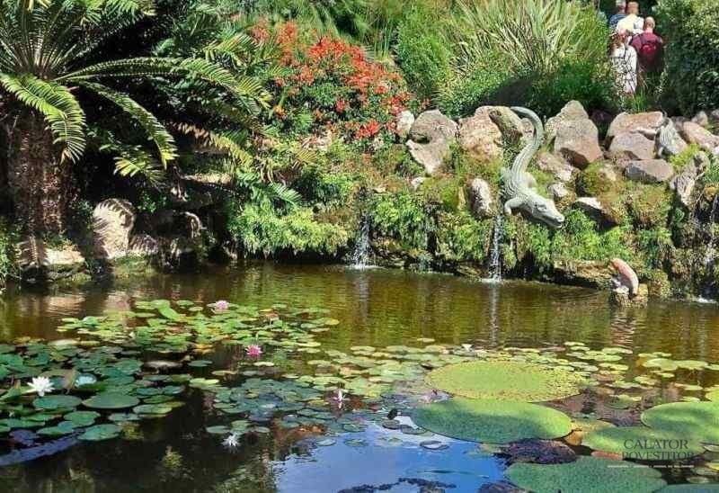 Ghid complet insula Ischia - Italia