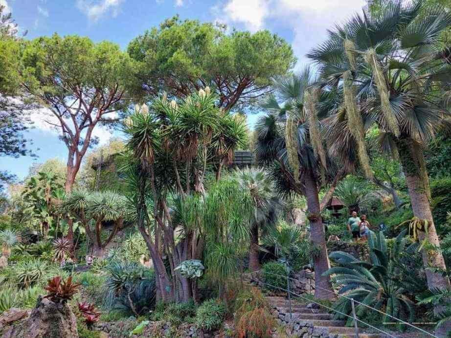 Grădina botanică,Giardini La Mortella