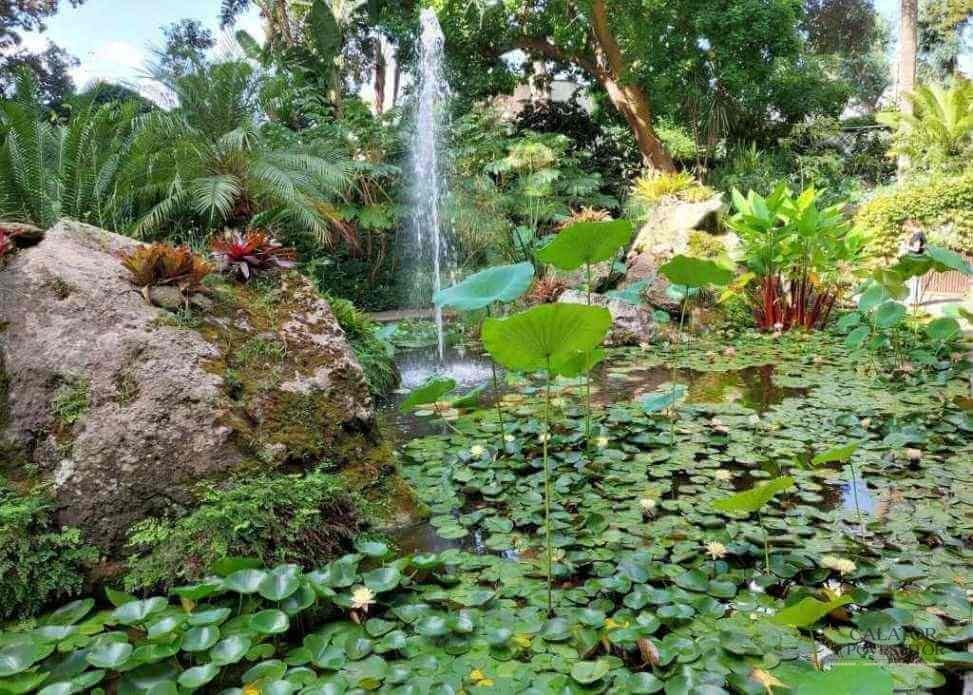 Grădina botanică,Giardini La Mortella