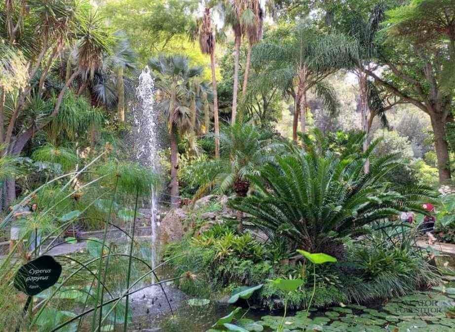 Grădina botanică,Giardini La Mortella