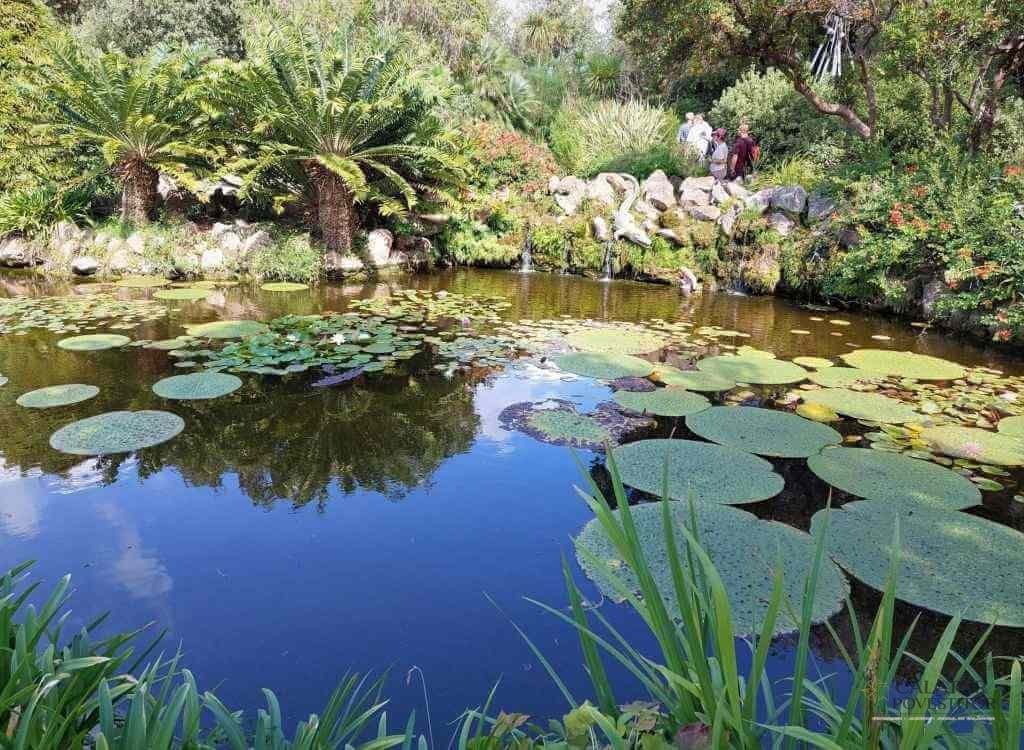 Grădina botanică,Giardini La Mortella