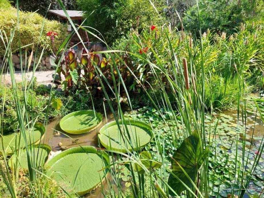 Grădina botanică,Giardini La Mortella