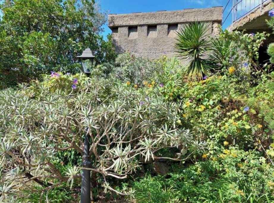 Grădina botanică,Giardini La Mortella