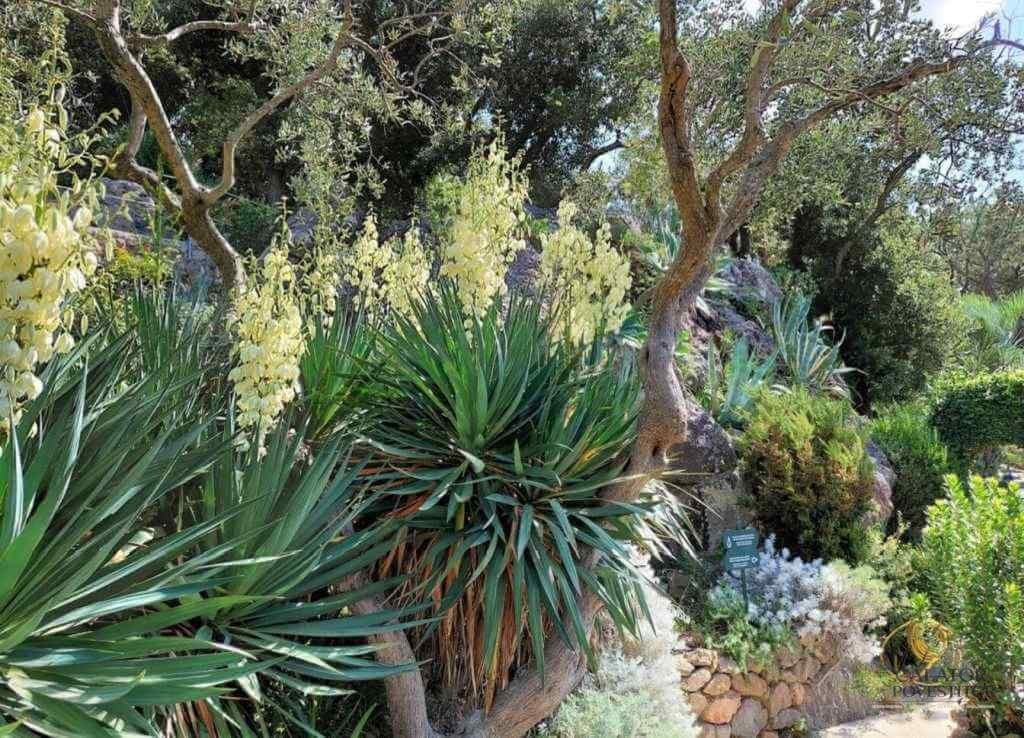 Grădina botanică,Giardini La Mortella