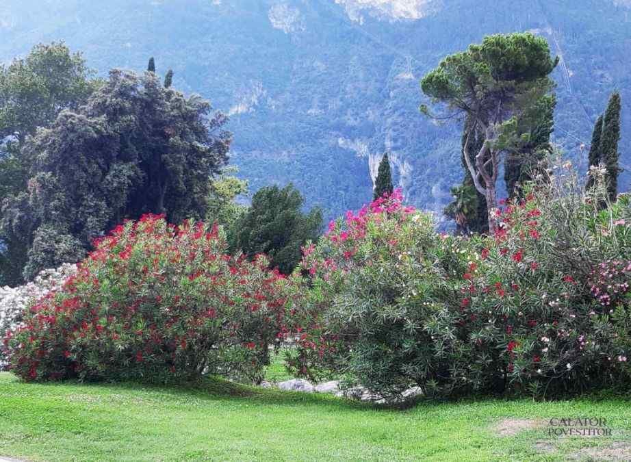 Lacul Garda – atractii turistice de top