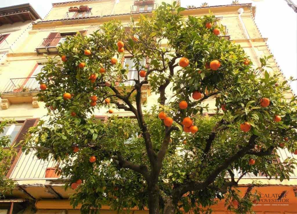 Sorrento