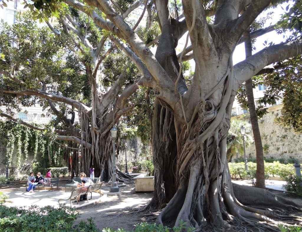 Siracusa obiective turistice - perla istorica din Sicilia