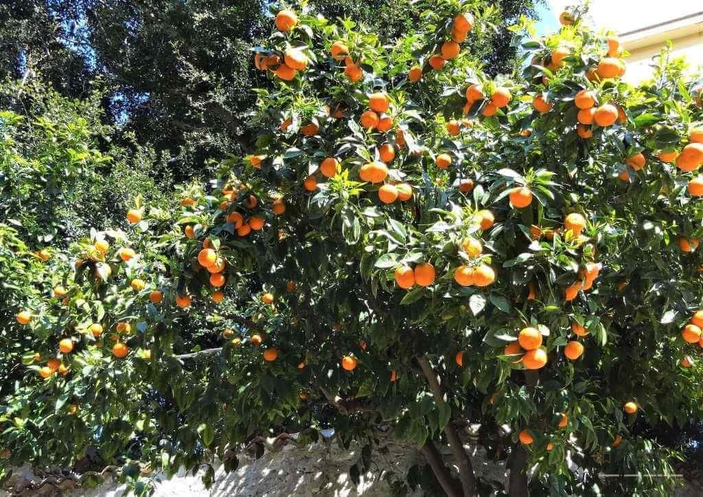 Taormina