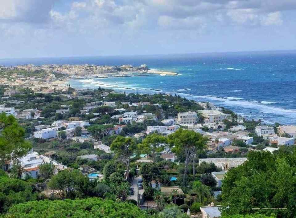 Top 5 gradini de vis. Oaze de frumusete in Italia.