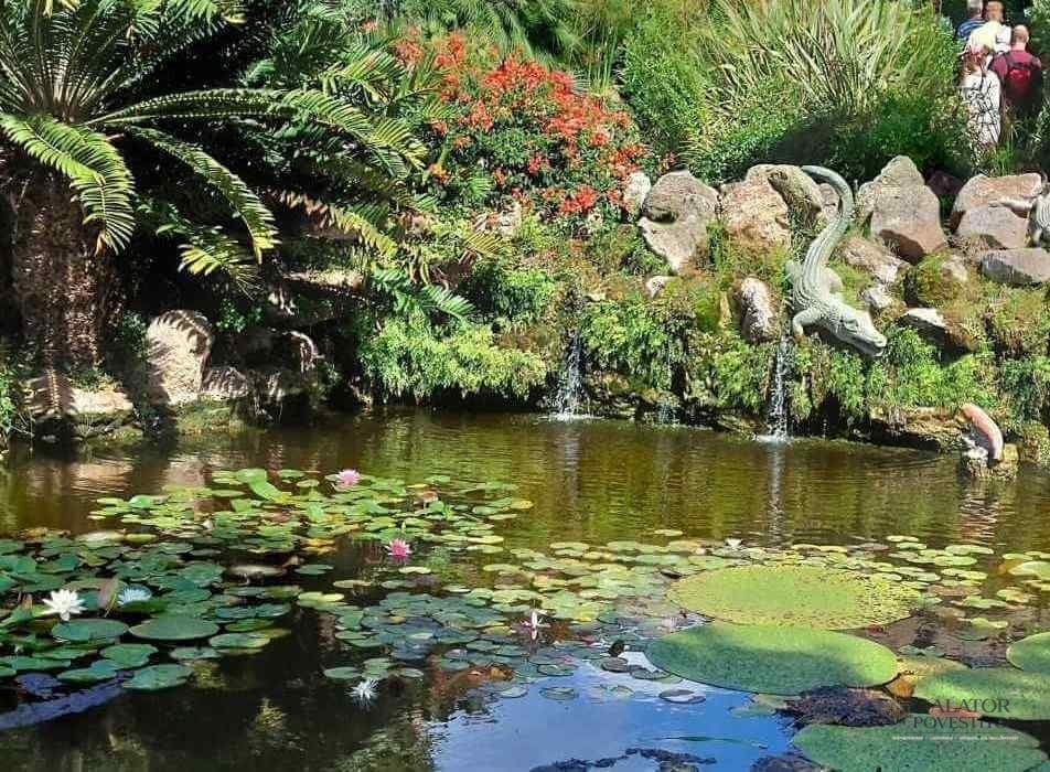 Top 5 gradini de vis. Oaze de frumusete in Italia.