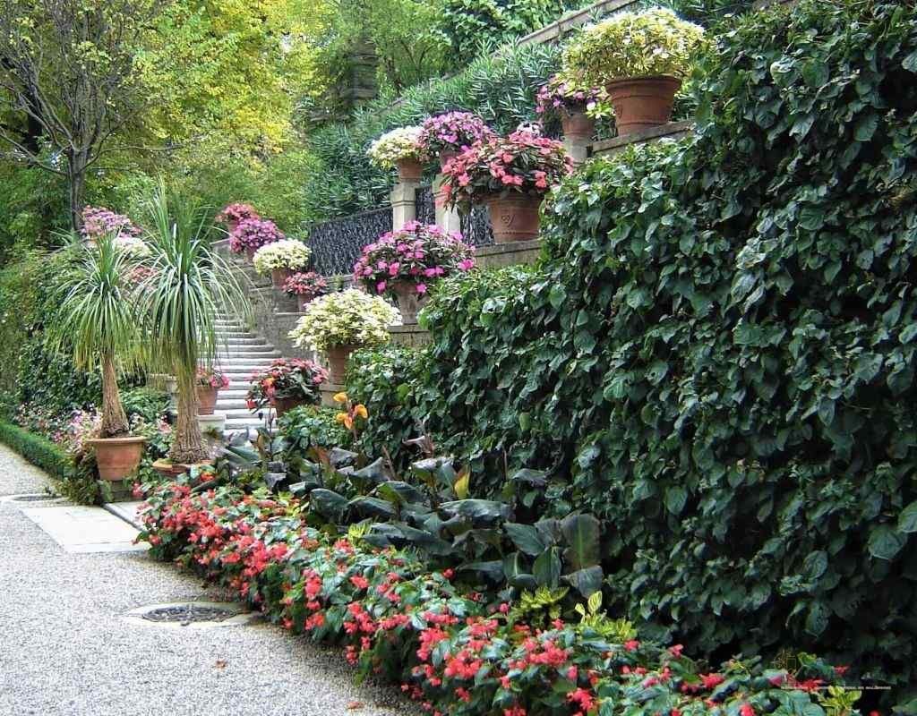 Top 5 gradini de vis. Oaze de frumusete in Italia.