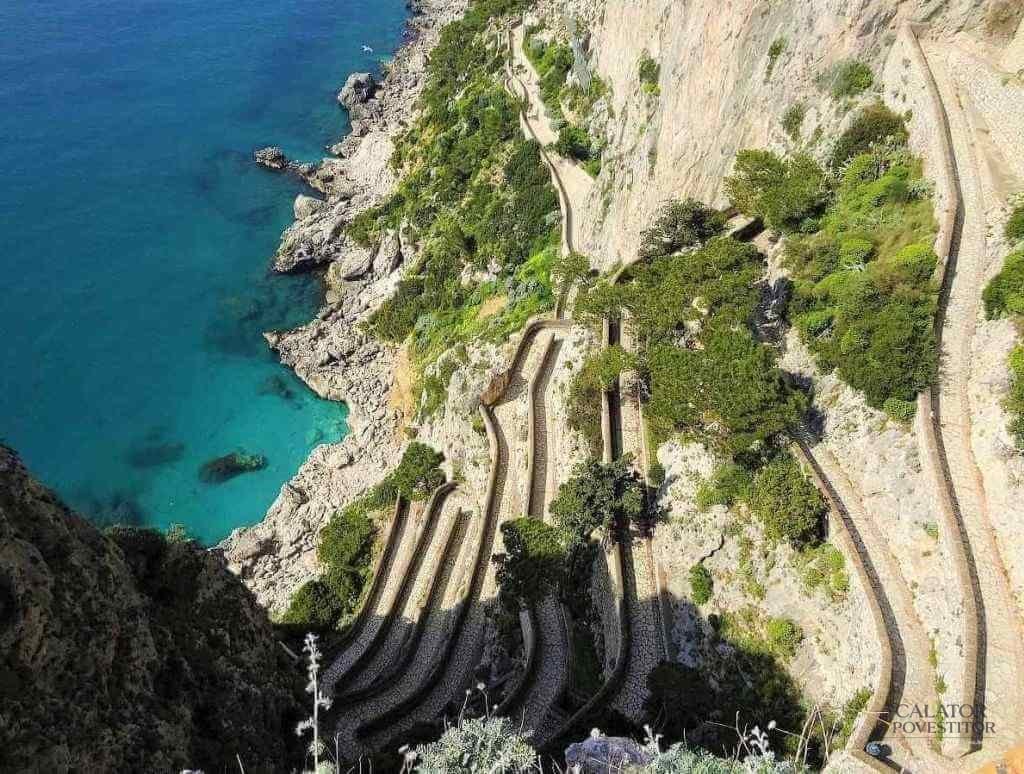 Top 5 gradini de vis. Oaze de frumusete in Italia.
