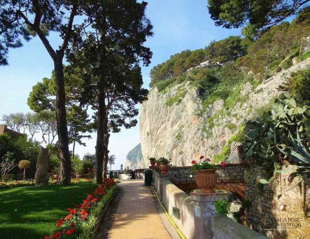 Top 5 gradini de vis. Oaze de frumusete in Italia.