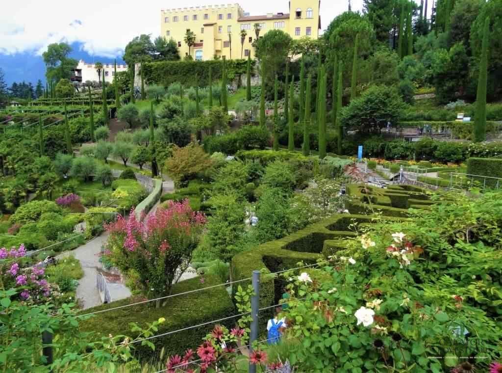Top 5 gradini de vis. Oaze de frumusete in Italia.