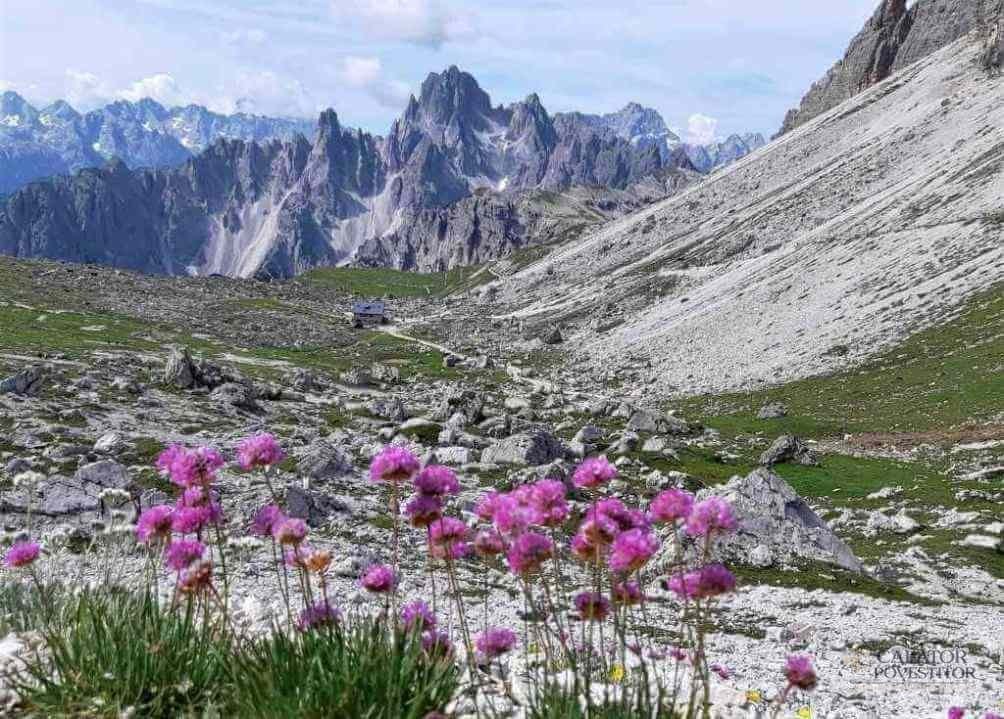 Rifugio Lavaredo