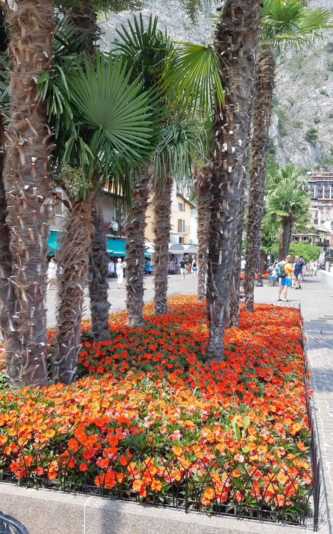 Limone sul Garda