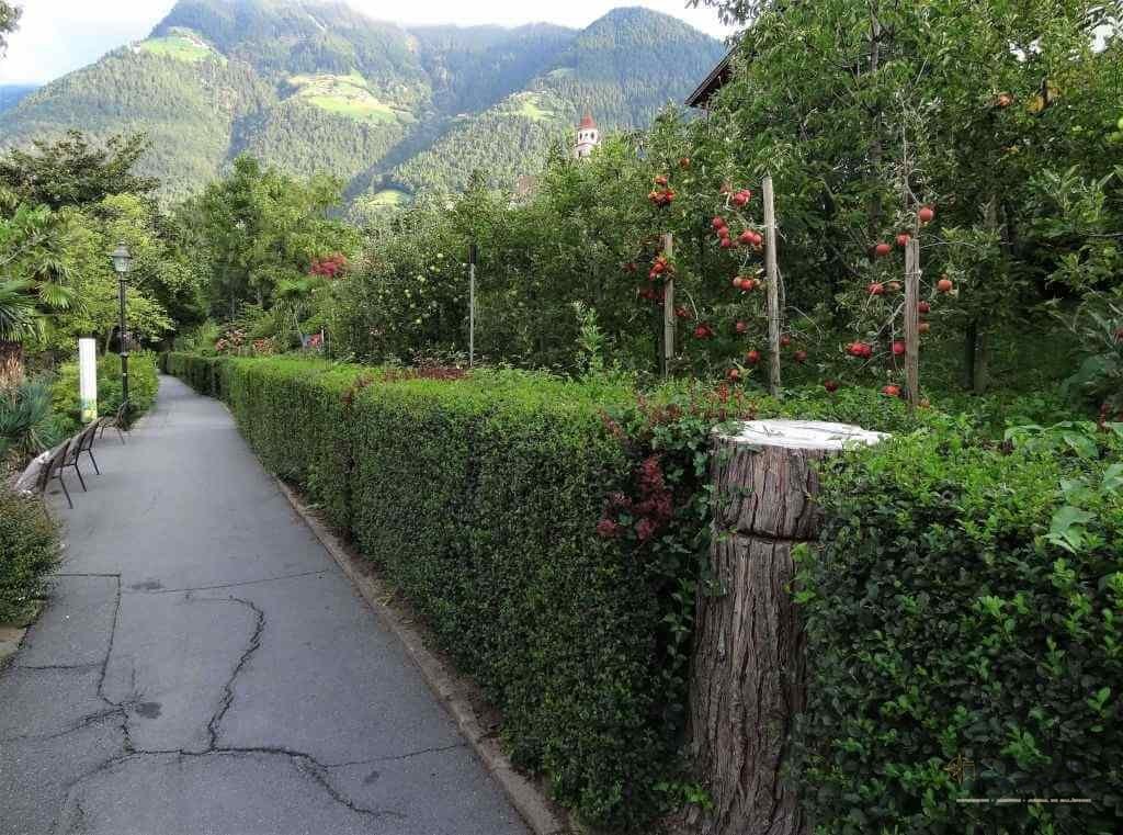 Dorf Tirol