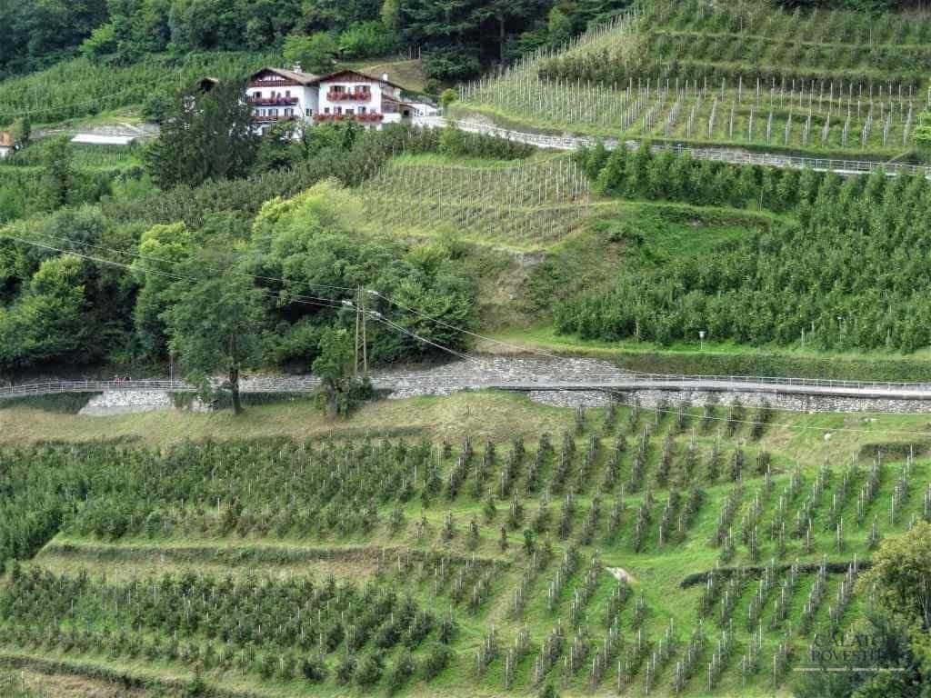 Dorf Tirol