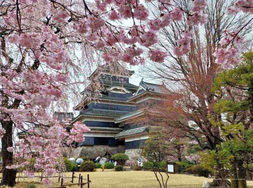 3 locuri de neratat in Japonia - Takayama, Shirakawa-go si Castelul Matsumoto