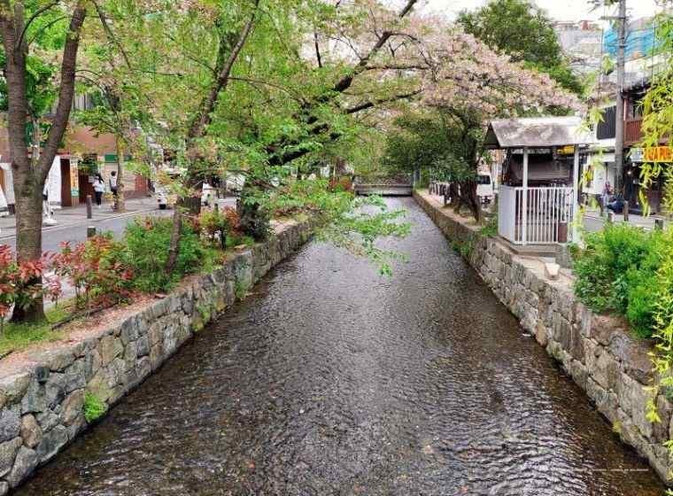 3 obiective turistice de vizitat in Kyoto - Japonia