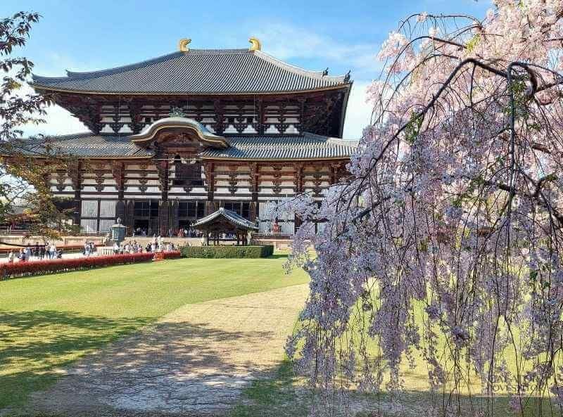 Atractii si obiective turistice in Osaka, Japonia