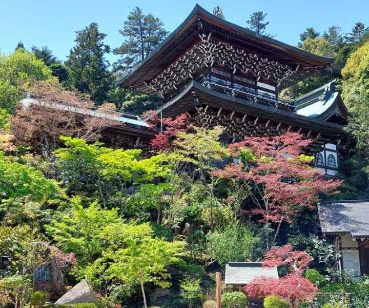 Atractii turistice de top din Japonia - Hiroshima si insula Miyajima