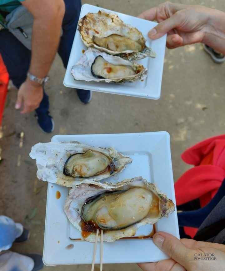 Atractii turistice de top din Japonia - Hiroshima si insula Miyajima