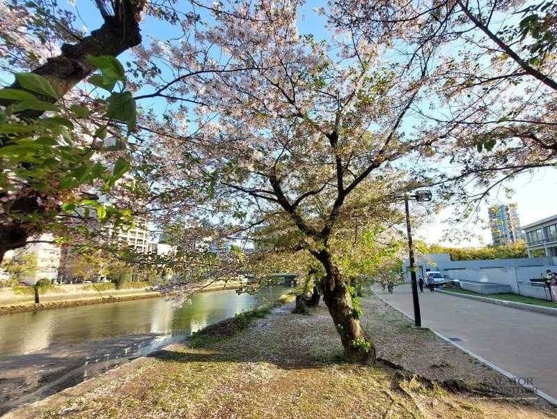 Hiroshima