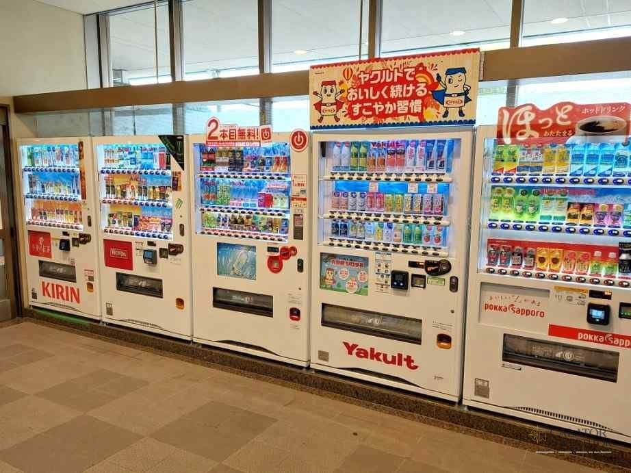 cu trenul si metroul prin Japonia