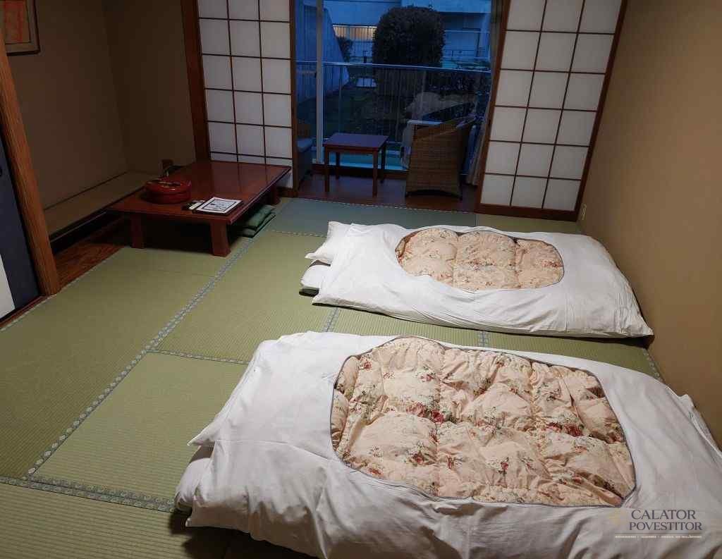 Cum arata o cazare in Japonia