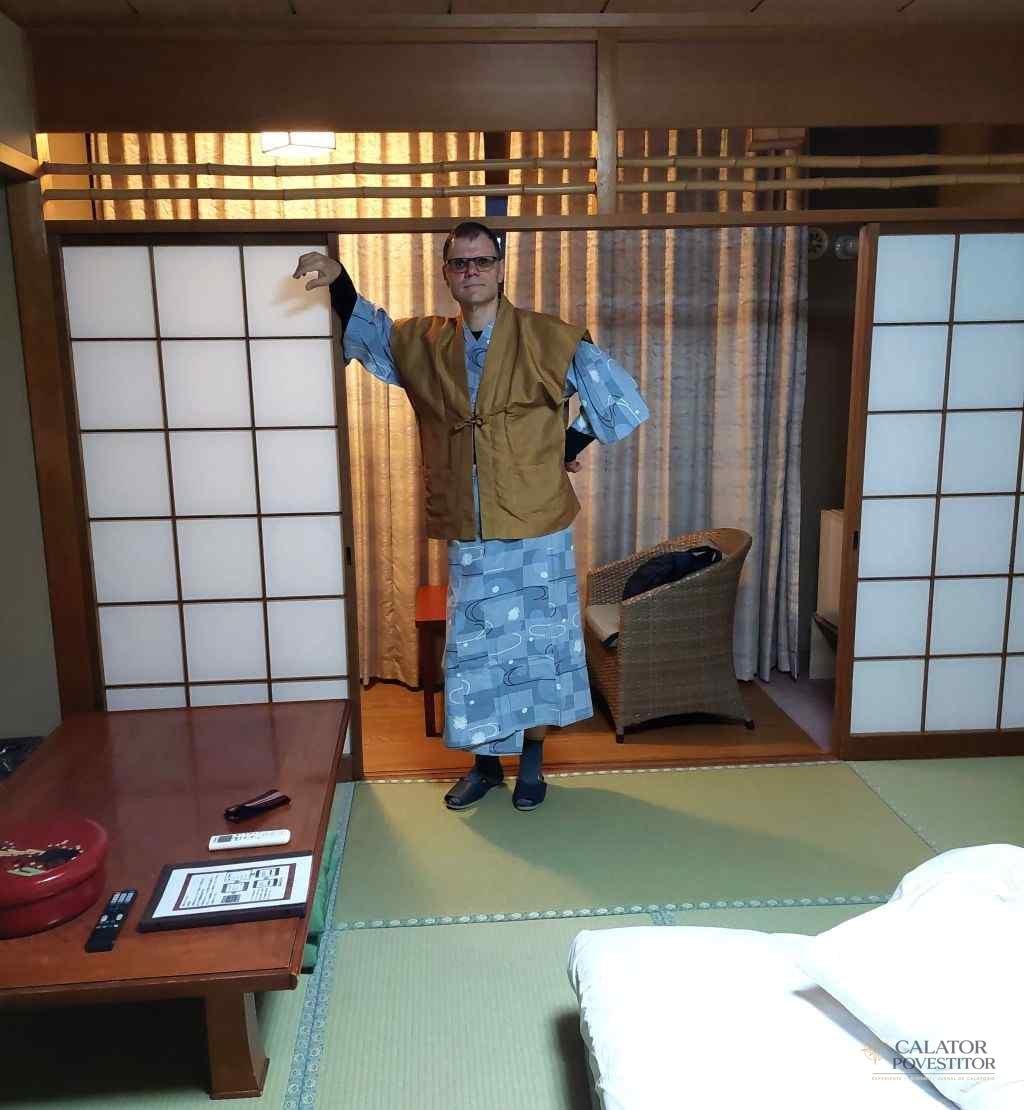 Cum arata o cazare in Japonia