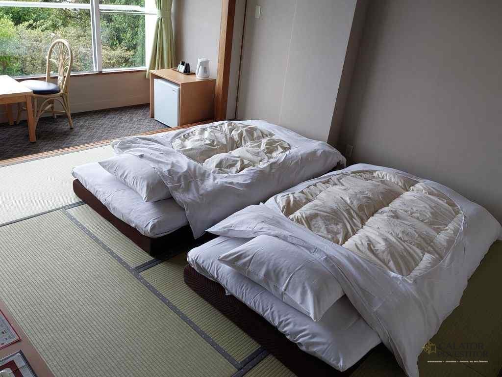 Cum arata o cazare in Japonia