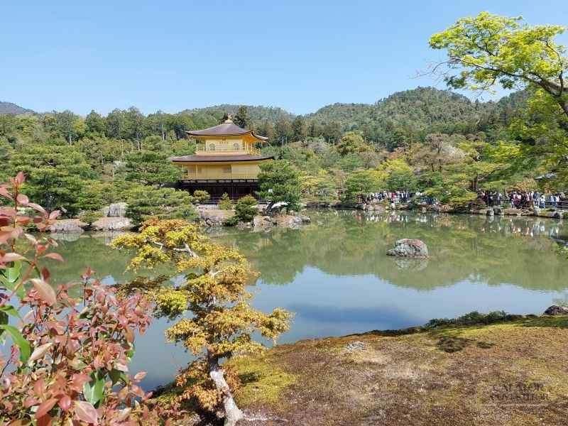 Top 5 atractii turistice din Kyoto – Japonia — 34