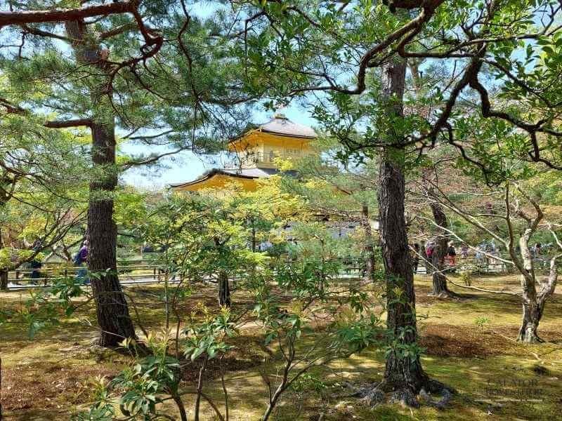 Top 5 atractii turistice din Kyoto – Japonia — 35
