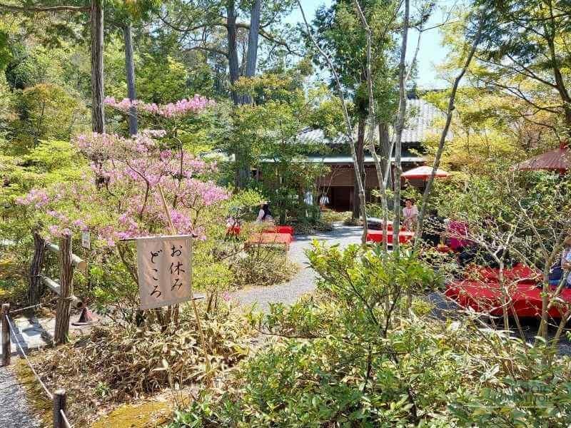Top 5 atractii turistice din Kyoto – Japonia — 36